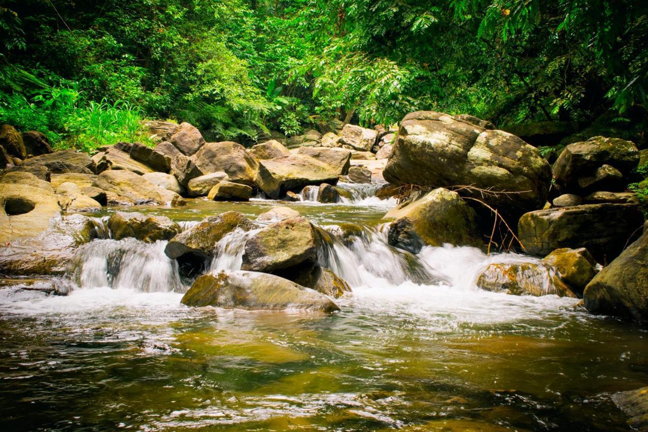 Royal River Resort Kitulgala Eksteriør bilde