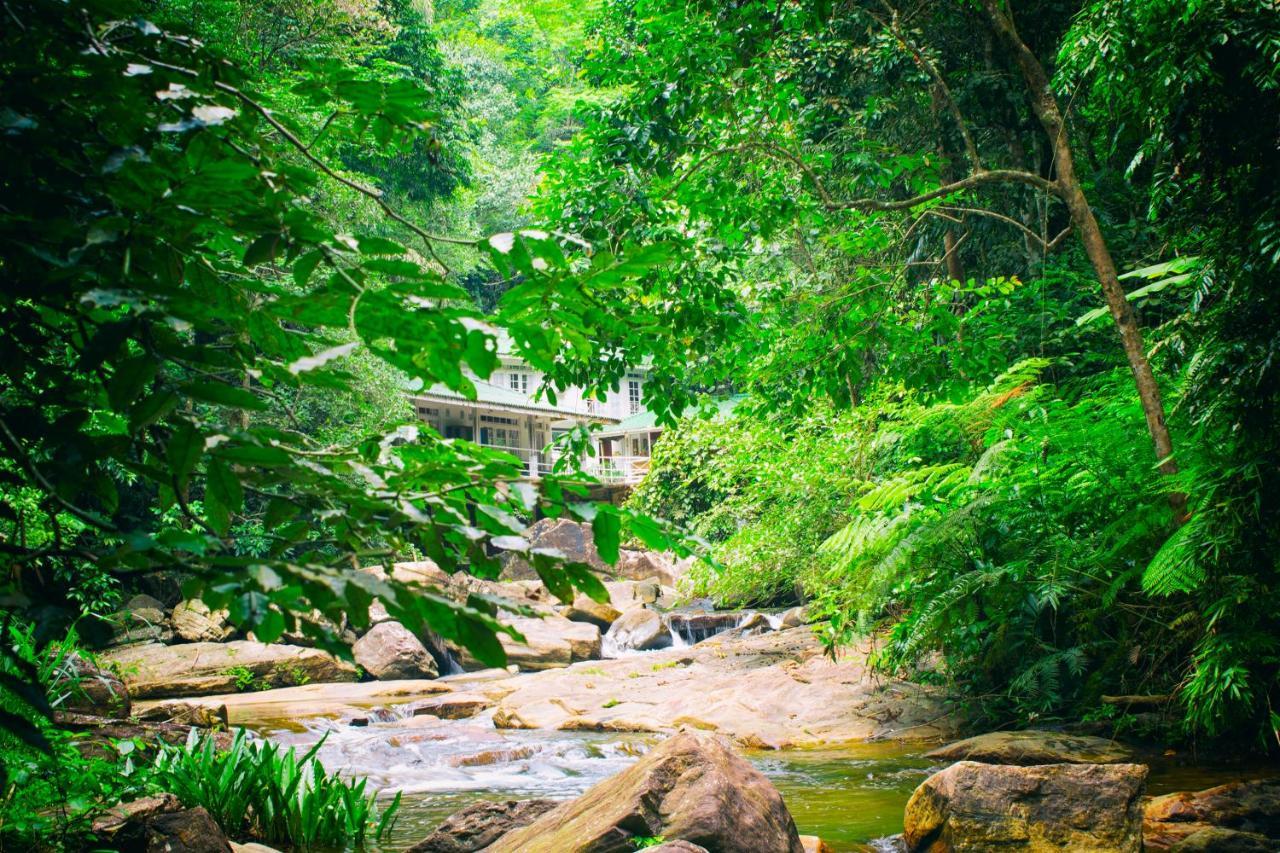 Royal River Resort Kitulgala Eksteriør bilde